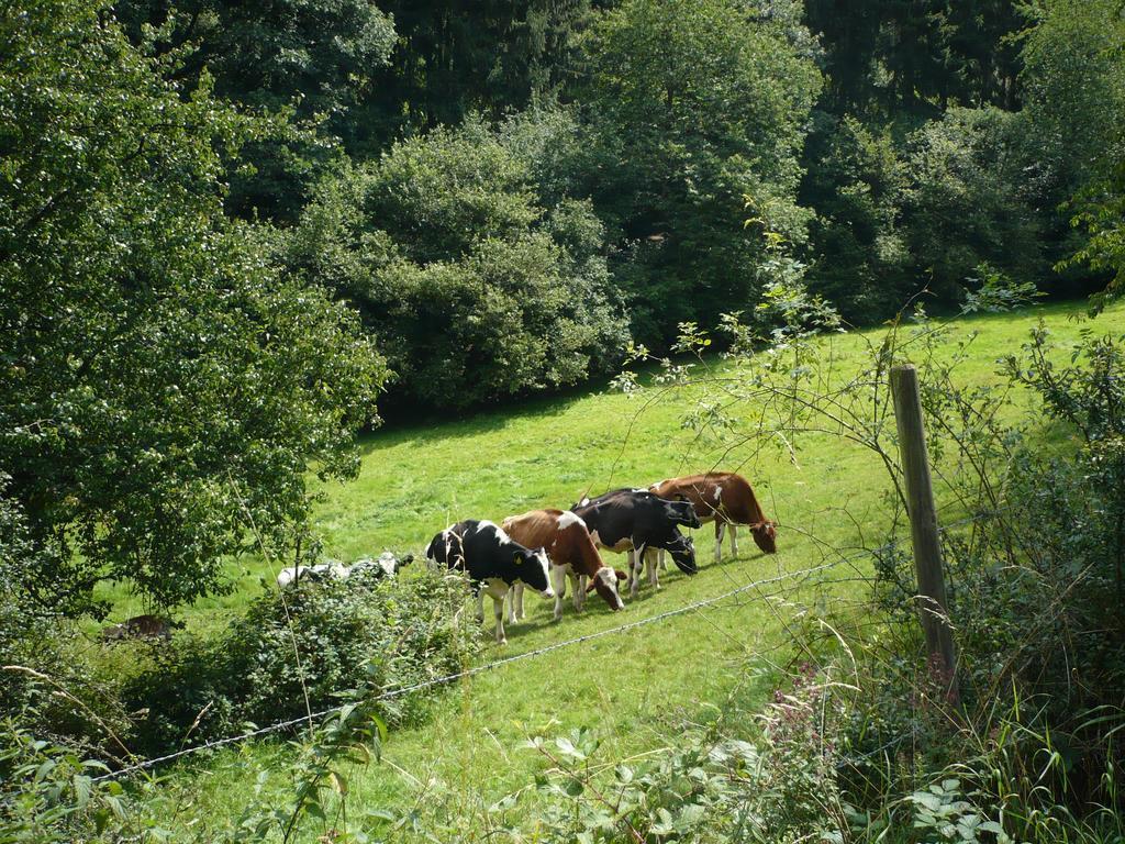 Ferienwohnungen Meindl Idar-Oberstein Bilik gambar
